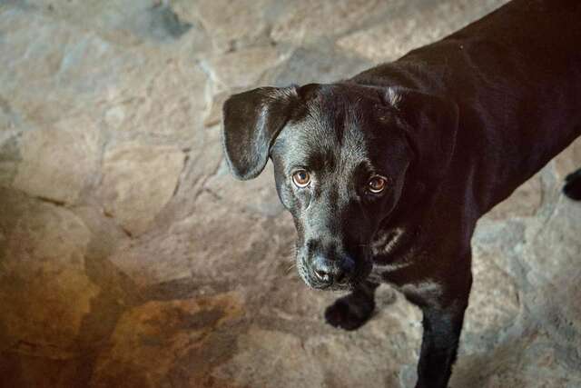 Хостелы Hostel Anton Тиват-28